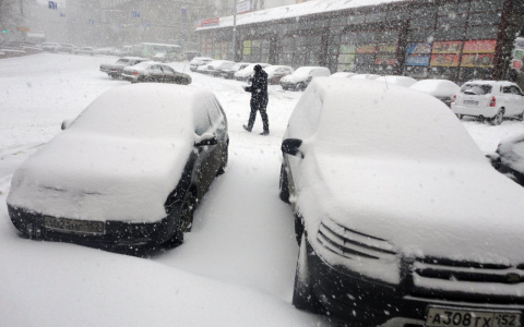 Что ждать жителям Саранска от погоды в понедельник?
