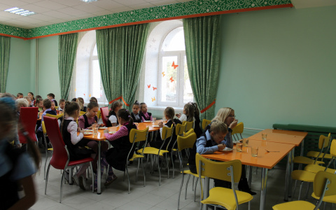 В Саранске два повара хотели оставить школьников без обеда