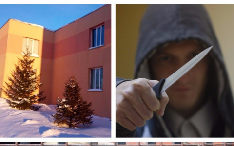 Мордовия за день: нападение на горожанку, пополнение в зоопарке и ремонт в инфекционной больнице