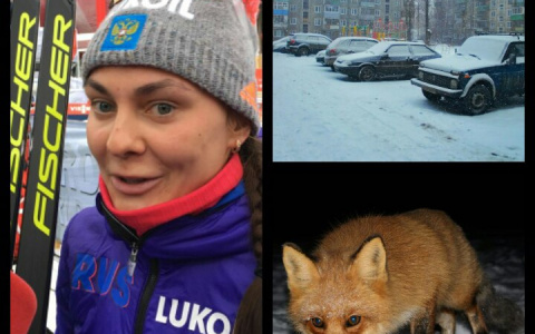 Мордовия за день: эксклюзив из Пхёнчхана, бешенство у лисиц и перехватывающая парковка для болельщиков ЧМ-2018