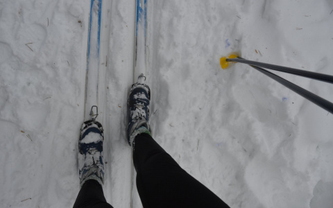 В Саранске на «Лыжню России» вышли четыре тысячи человек 