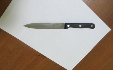 Житель Мордовии убил односельчанина при попытке помириться 