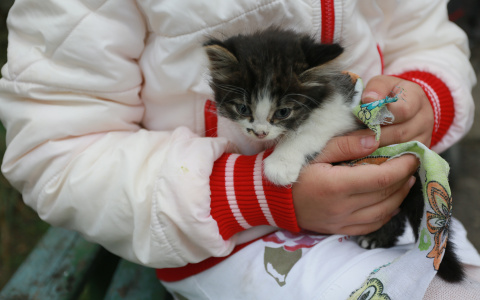 Гороскоп на 14 февраля: Один из знаков сможет изменить мир к лучшему
