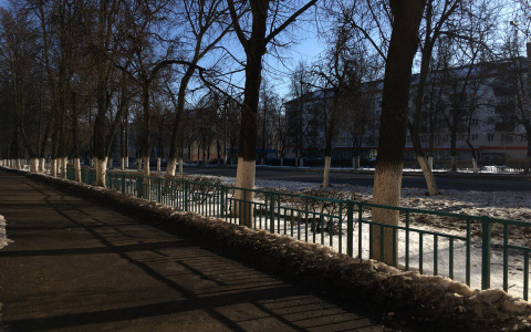 Что ждать жителям Саранска от погоды в понедельник?