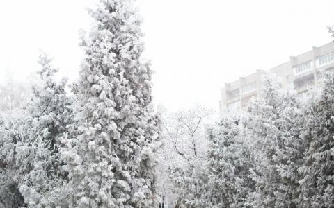 В Мордовии ученики младших классов освобождены от занятий из-за мороза 