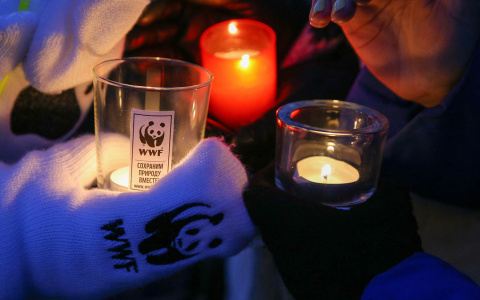 Столица Мордовии присоединится к акции «Час Земли»