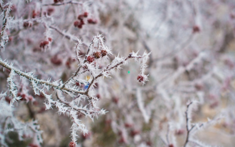 У школьников в Мордовии продолжаются каникулы из-за морозов 