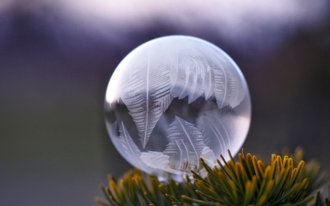 Что ждать жителям Саранска от погоды в четверг?