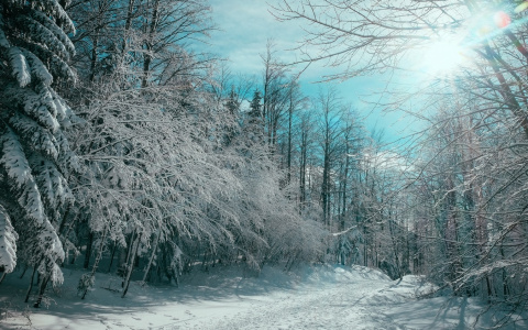 Что ждать жителям Саранска от погоды в пятницу?
