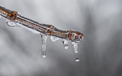 Что ждать жителям Саранска от погоды в субботу?