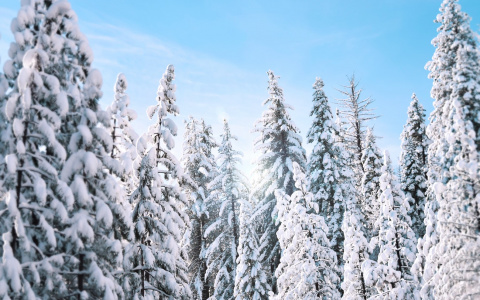 Что ждать жителям Саранска от погоды в субботу?