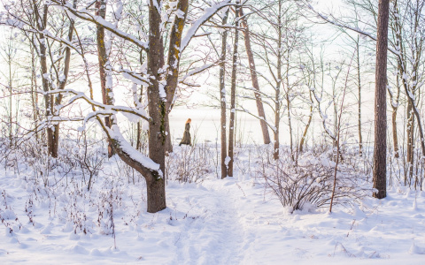 Что ждать жителям Саранска от погоды в среду?