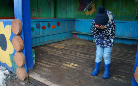 Следственный комитет Мордовии рекомендует родителям тщательно выбирать няню для ребенка 