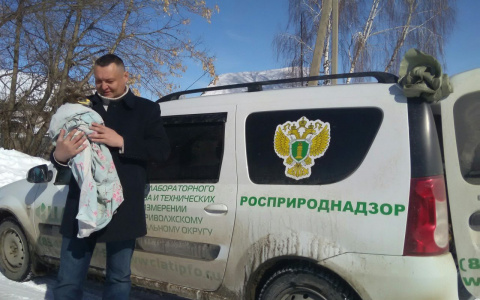 В саранском зоопарке будет жить спасенный орел 