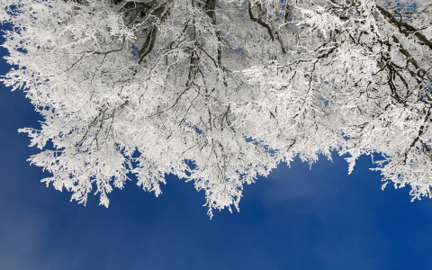 Что ждать жителям Саранска от погоды в субботу?