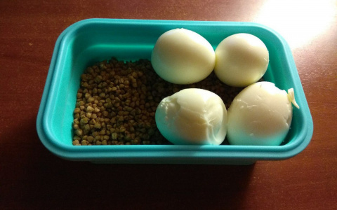 Новости России: Петербургский студент ради эксперимента прожил месяц на стипендию в 1,5 тысячи