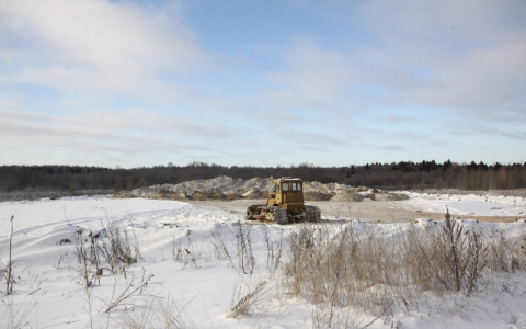 В Мордовии введен режим ЧС из-за гибели сельскохозяйственных культур 
