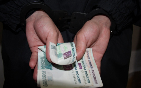 Два жителя Саранска пытались дать взятку за убийство краснокнижного бобра