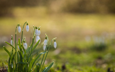 Что ждать жителям Саранска от погоды в пятницу?