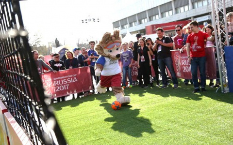 Парк футбола ЧМ-2018 откроется в Саранске