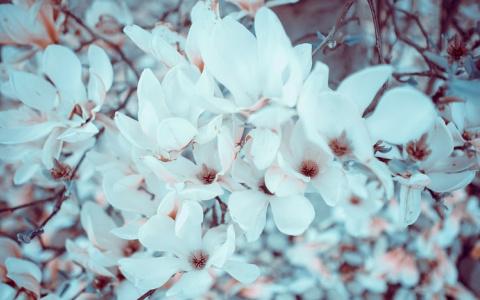 Что ждать жителям Саранска от погоды в понедельник?