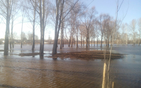 В центре Саранска разлилась река Инсар (ФОТО)