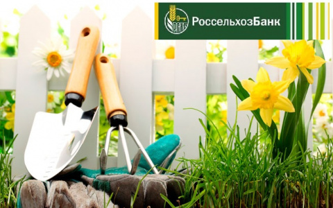 РСХБ увеличил темпы кредитования посевной на 27%