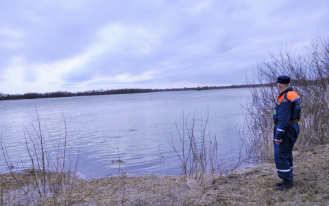В Саранске уровень воды в реке Инсар опустился на пять сантиметров