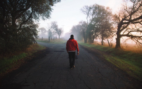 Что ждать жителям Саранска от погоды в понедельник?