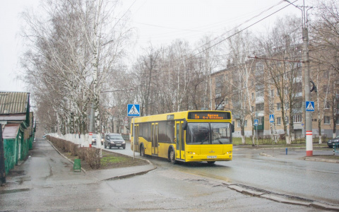В Саранске на Радоницу до кладбищ пустят 21 автобус