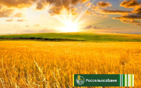 РСХБ нарастил объем привлеченных средств на 12,5 млрд рублей