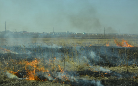В Мордовии начался сезон горения сухой травы