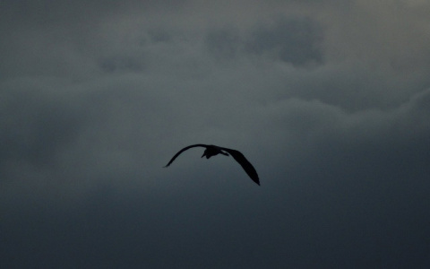 Что ждать жителям Саранска от погоды в воскресенье?