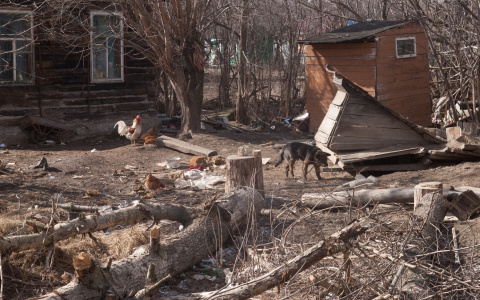 В столице Мордовии составят реестр сараев-самостроев