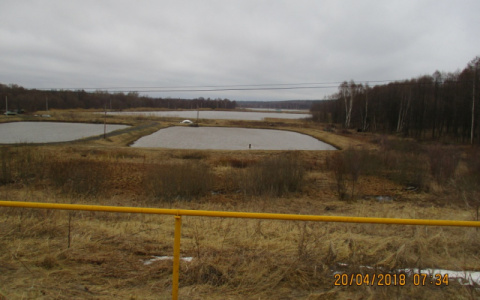 Житель Мордовии незаконно выловил из частного пруда 135 килограммов рыбы 