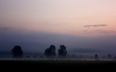 Что ждать жителям Саранска от погоды в среду?