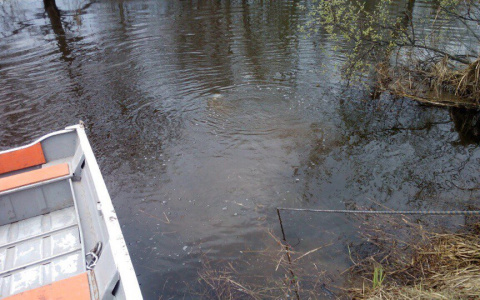 В Мордовии на берегу ручья нашли труп мужчины 