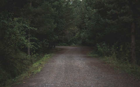 Что ждать жителям Саранска от погоды в пятницу?