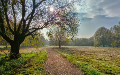 Что ждать жителям Саранска от погоды в субботу?