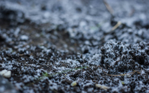 МЧС Мордовии предупреждает о ночных заморозках