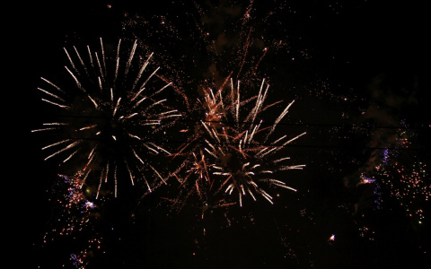 В Мордовии следователи проверяют информацию о пострадавших во время салюта 