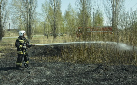 В Мордовии пожарные за три дня 186 раз тушили сухую траву