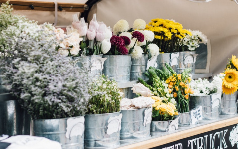 Что ждать жителям Саранска от погоды в воскресенье?