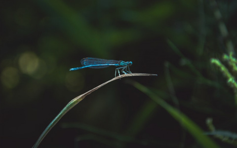 Что ждать жителям Саранска от погоды в понедельник?