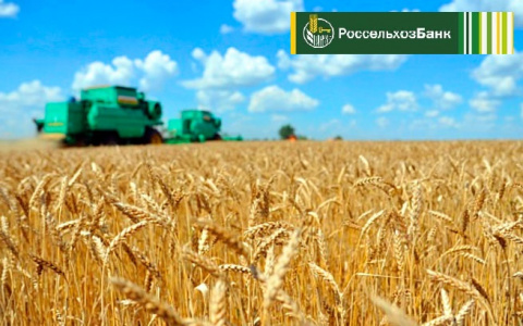 В I квартале 2018 года Россельхозбанк направил на поддержку компаний МСП 56 млрд рублей