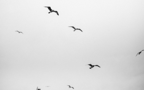 Что ждать жителям Саранска от погоды во вторник?