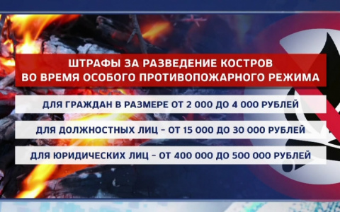 Правительство Мордовии ввело особый противопожарный режим