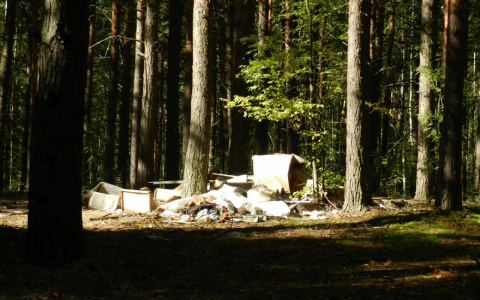 В одном из районов Мордовии обнаружили 20 несанкционированных свалок 