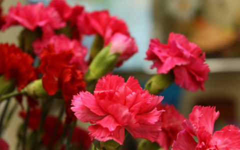 Новости России: Гражданская панихида по жертвам нападения на храм прошла в Грозном