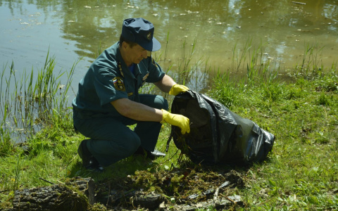 В Саранске очистили береговую линию одного из водоемов от мусора